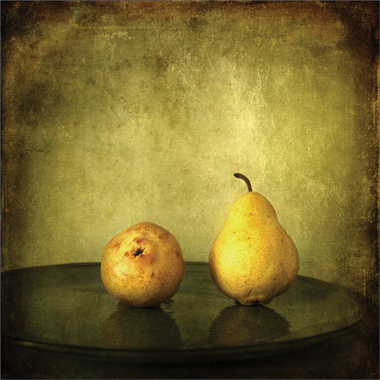 José Manuel Pires Dias - Elle-murit-en-regardant-lautre-Jose-Manuel-Pires-Dias